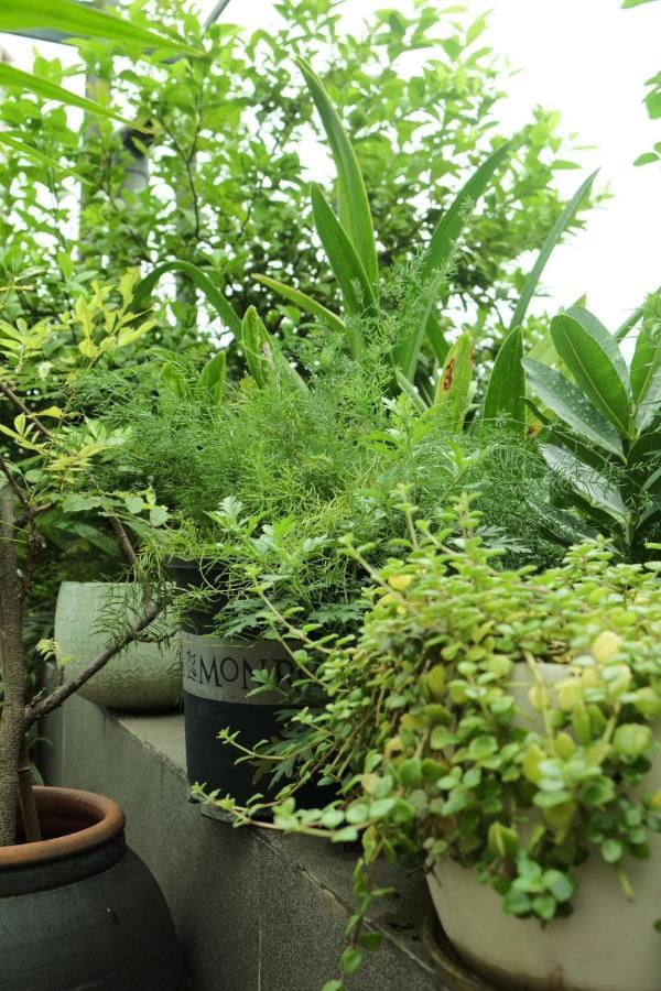 Auntie Lien'S Homestay Hanoi Exteriör bild